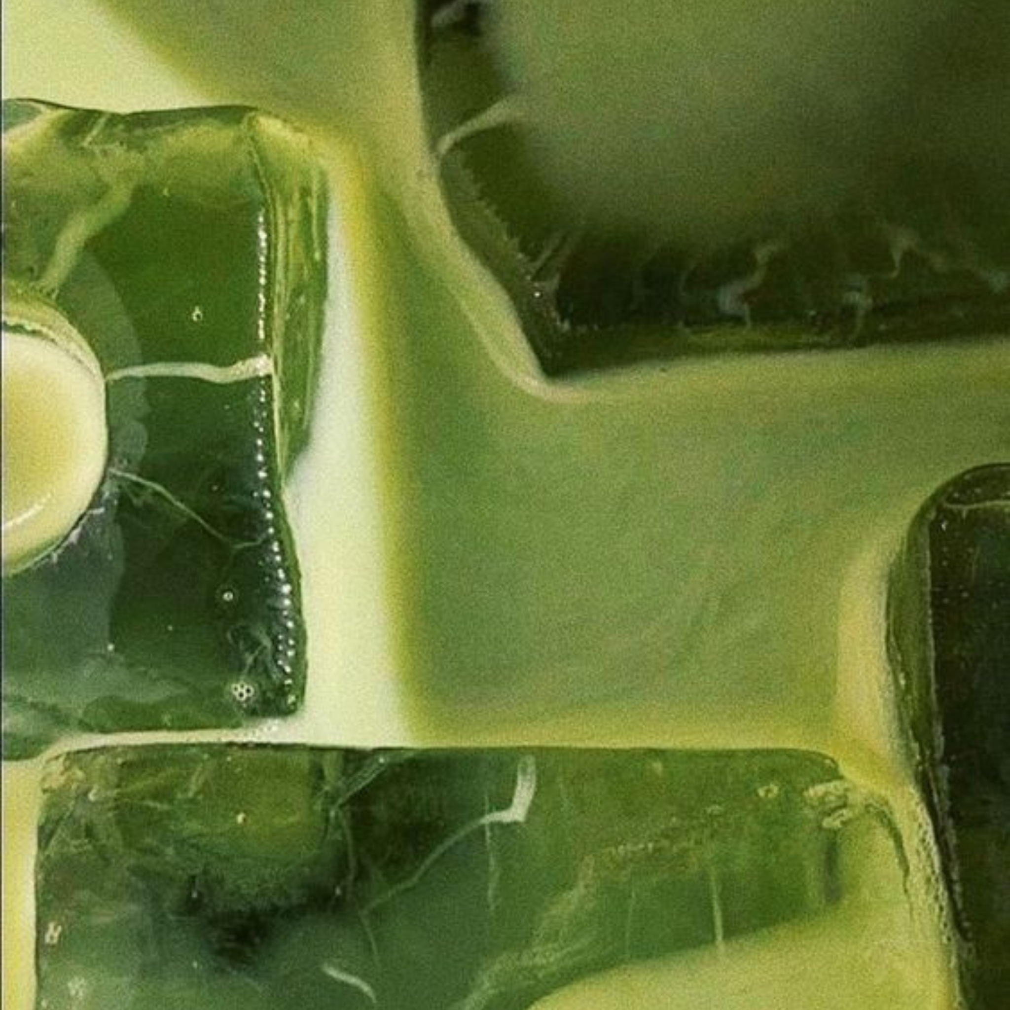 Collagen Matcha Sachets